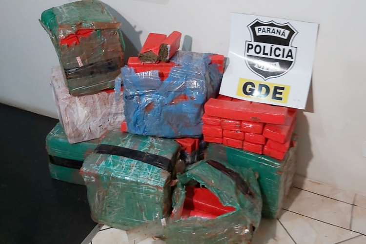 Polícia Civil apreende 180 quilos de maconha e prende pai e filho em Foz do Iguaçu