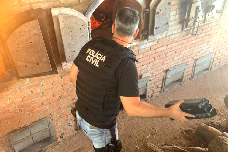 Polícia Civil incinera 100 quilos de droga em Ampére, no Sudoeste do Paraná