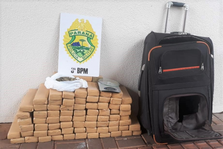 No Sudoeste do estado, PM apreende mais de 50 quilos de maconha após denúncia