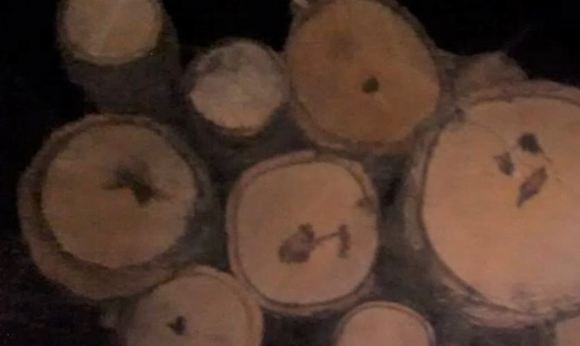 Em Mangueirinha (PR), policiais militares apreenderam caminhão carregado com madeira de Araucária