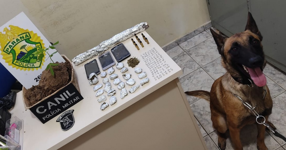 Com cão de faro, PM cumpre mandado judicial e apreende drogas e munições em Reserva (PR)