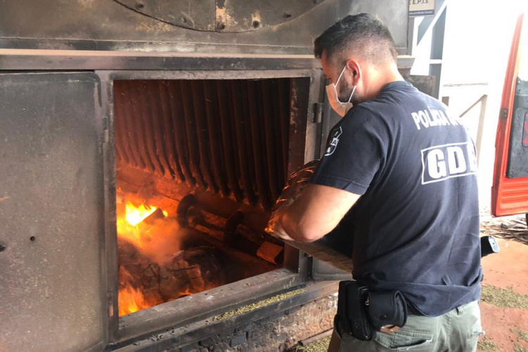 PCPR incinera 20,9 toneladas de droga apreendidas em Foz do Iguaçu