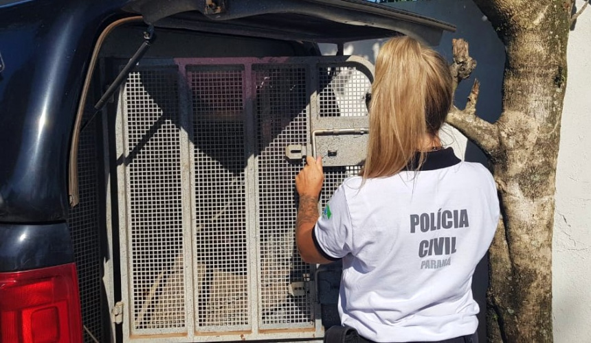 PCPR prende homem por tentativa de homicídio em Pontal do Paraná -