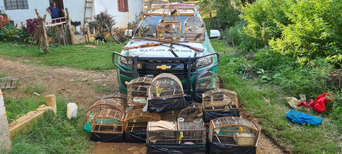Nas águas e nas matas do Litoral, Polícia Ambiental faz oito prisões e resgata 174 aves silvestres nos primeiros 10 dias de Verão Consciente