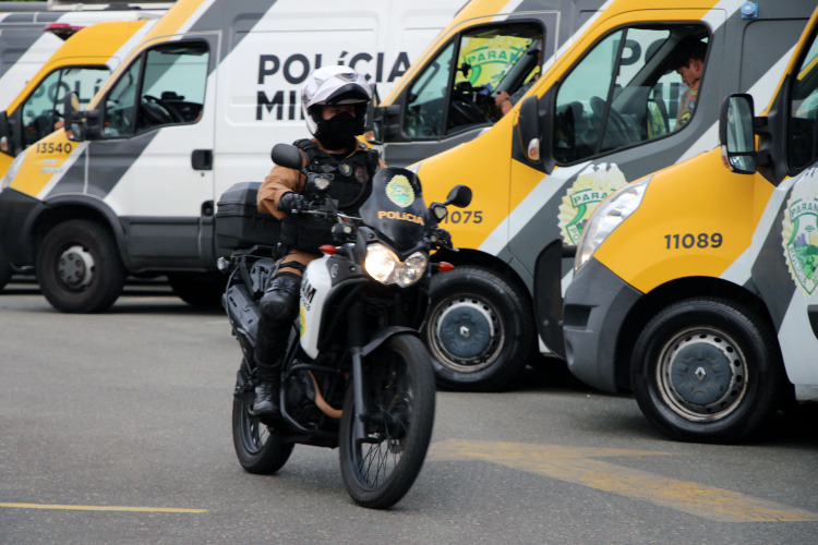 ROCAM apreende drogas e pés de maconha em Curitiba