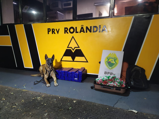 BPRv apreende 30 quilos de maconha e encaminha duas mulheres por tráfico de drogas em Rolândia (PR)