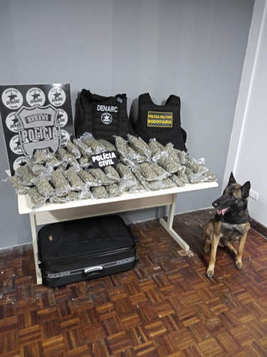 PCPR e PMPR apreendem 15,2 quilos de maconha na Rodoferroviária de Curitiba
