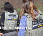 Conheça o trabalho  da Perícia Ambiental