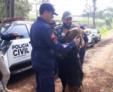 PCPR realiza seminário internacional com cães de busca em Pato Branco