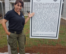 PCPR realiza seminário internacional com cães de busca em Pato Branco