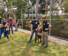 PCPR participa de evento sobre prevenção do acidente de trabalho em Pato Branco