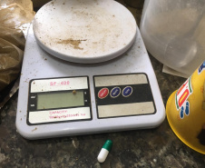 PCPR apreende quase 300 quilos de kratom em Curitiba e RMC