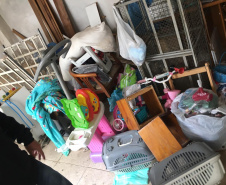 PCPR autua médica veterinária suspeita de maus-tratos a animais em Curitiba