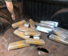PCPR apreende 40 quilos de maconha em Maringá