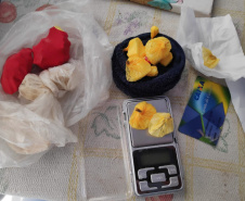 PCPR e PMPR deflagram operação contra o tráfico drogas no Sudoeste do Estado