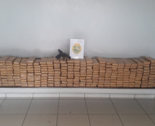  Em situações distintas, mais de 156 quilos de drogas são apreendidos pela PM no Centro-Sul do estado 