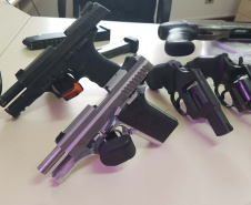 Polícia Civil e Guarda Municipal desarticulam esquema de drogas