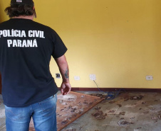 PCPR fecha canil clandestino e resgata cinco cães em Curitiba