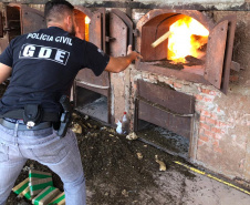 PCPR incinera cerca de de 5,3 toneladas de drogas em Foz do Iguaçu