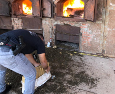 PCPR incinera cerca de de 5,3 toneladas de drogas em Foz do Iguaçu