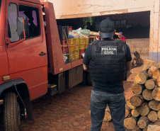PCPR encerra 2019 com cerca de de 14,5 toneladas de drogas incineradas em Foz do Iguaçu