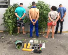 Policiais do projeto-piloto Em Frente Brasil prendem cinco pessoas e apreendem grande quantidade de drogas em São José dos Pinhais, na RMC