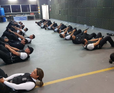  Polícia Civil do Paraná lança 2ª edição de sua revista científica
