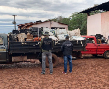 PCPR encerra 2019 com cerca de de 14,5 toneladas de drogas incineradas em Foz do Iguaçu