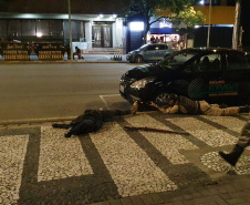  RONE simula roubo a banco no Centro de Curitiba; exercício faz parte do III Curso da unidade 