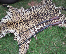 Polícia Ambiental apreende couro de uma Onça-Pintada e aplica multa de R$ 5 mil em Umuarama (PR)