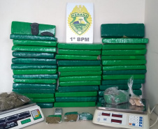 Em Ponta Grossa (PR) PM apreende mais de 52 quilos de drogas com o apoio de cão de faro