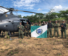 Helicóptero da PM do Paraná localiza plantação que renderia três toneladas de maconha no sertão nordestino