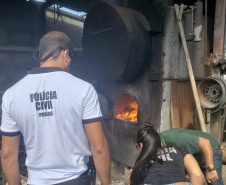  Polícia Civil incinera 265 quilos de drogas apreendidas no Litoral