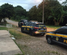 PCPR e PRF deflagram ação conjunta e prendem envolvidos em furtos e roubos na Capital paranaense