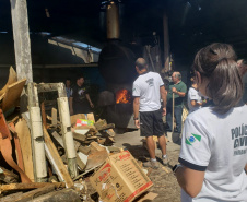  Polícia Civil incinera 265 quilos de drogas apreendidas no Litoral