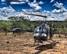 Helicóptero da PM do Paraná localiza plantação que renderia três toneladas de maconha no sertão nordestino