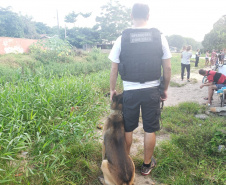  PCPR deflagra ação em combate ao tráfico de drogas em Pontal do Paraná 