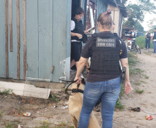  PCPR deflagra ação em combate ao tráfico de drogas em Pontal do Paraná 