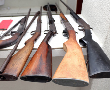Forças policiais apreendem 20 armas por dia no Paraná