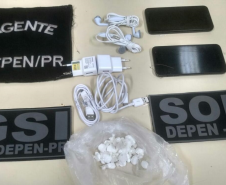 Depen de Maringá desencadeia 278 operações em 42 unidades prisionais em 2019