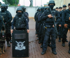 Depen de Maringá desencadeia 278 operações em 42 unidades prisionais em 2019