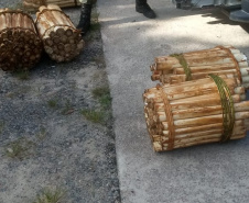  Polícia Ambiental prende homem que transportava Palmito in natura no Litoral do estado 