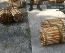  Polícia Ambiental prende homem que transportava Palmito in natura no Litoral do estado 