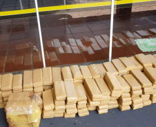 Meia tonelada de maconha é apreendida pelo Batalhão Rodoviário em Cascavel (PR)