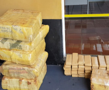 Meia tonelada de maconha é apreendida pelo Batalhão Rodoviário em Cascavel (PR)