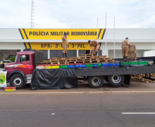  Polícia Rodoviária encontra 3,5 toneladas de maconha escondida em carga de paletes no Noroeste do estado 