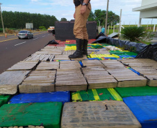  Polícia Rodoviária encontra 3,5 toneladas de maconha escondida em carga de paletes no Noroeste do estado 