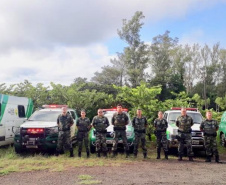 Mais de R$ 260 mil em multas ambientais são aplicados durante Operação Saturno, no Norte do Paraná
