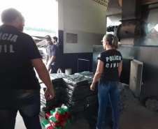  PCPR incinera mais de uma tonelada de drogas em Capanema 