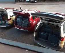  PCPR incinera mais de uma tonelada de drogas em Capanema 